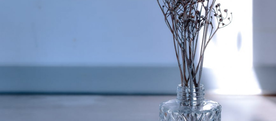 Alchemy of Aroma: Transcending Spaces and Memories with Aqila Fragrances