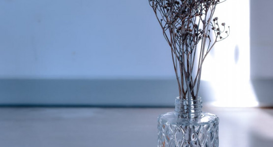 Alchemy of Aroma: Transcending Spaces and Memories with Aqila Fragrances