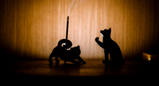 Aqila Fragrances: A Symphony of Scent, Emotion, and Wellness