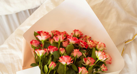 Scented Sorcery: How Aqila Fragrances Unlock Emotions and Boost Productivity