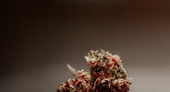 The Alchemy of Scent: Crafting Your Personal Aromatic Oasis with Aqila Fragrances