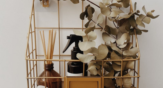 Unfolding Eternity: Crafting Memories with Aqila's Luxury Fragrances